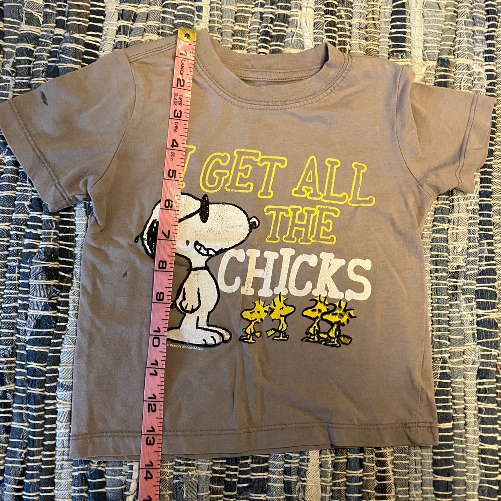 Peanuts "I Get All The Chicks" T-shirt With Joe Cool, Woodstock, & Friends
